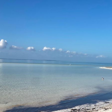 Barco Verde Hostel Isla Holbox Exterior photo